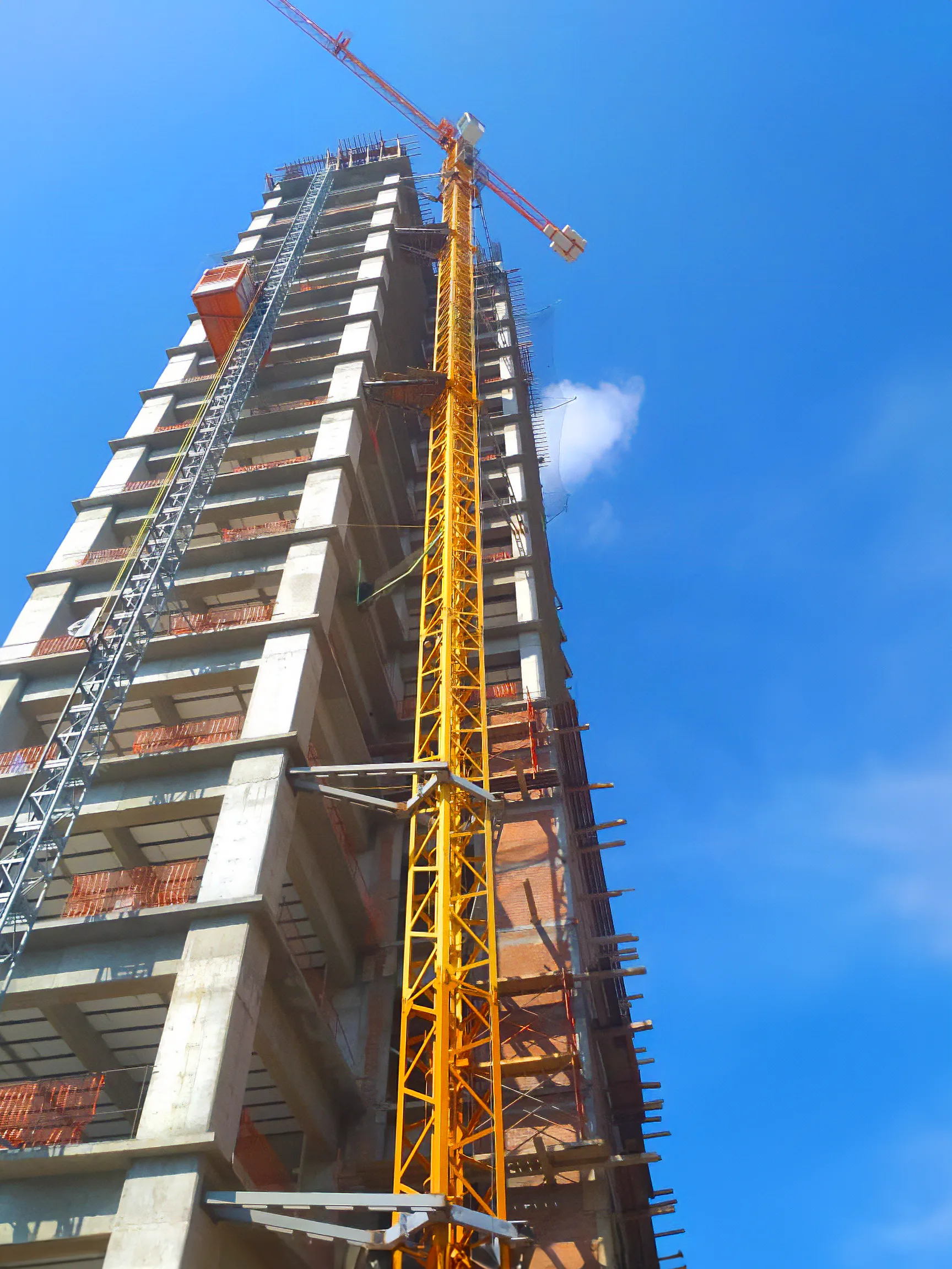 Grua Torre y Elevador de Obra